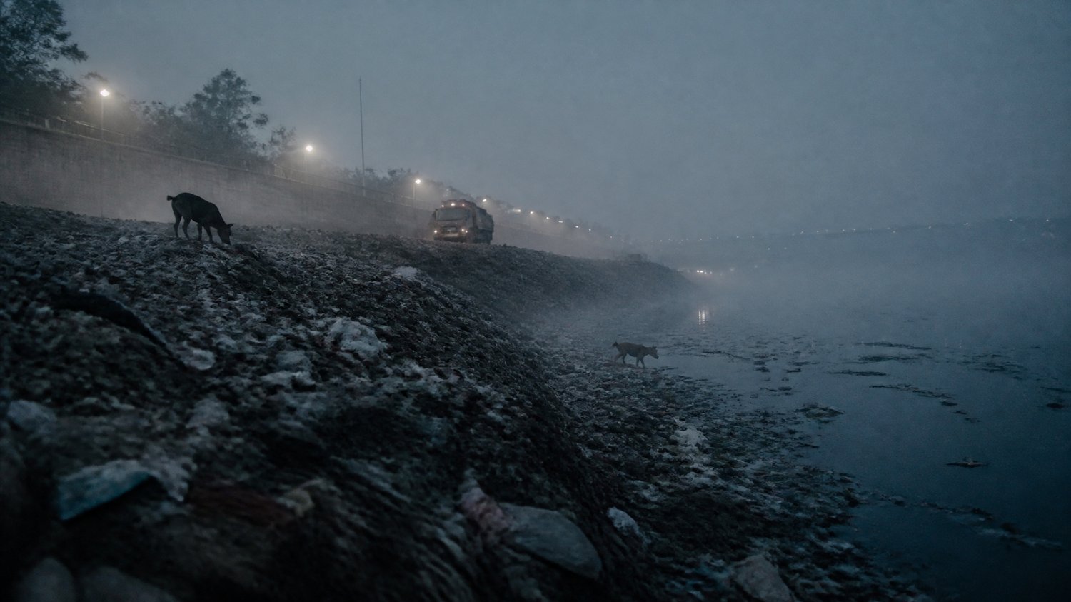 The Cold