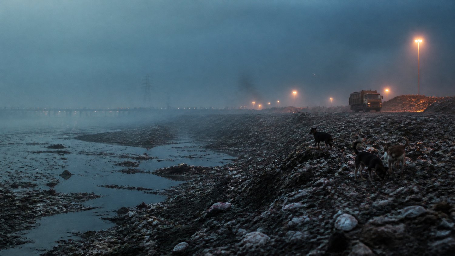The Garbage Lanes — Narrow kachra lanes, municipal bins, pre-dawn sodium light, stray dogs and fog — where the pieces return to the refuse.