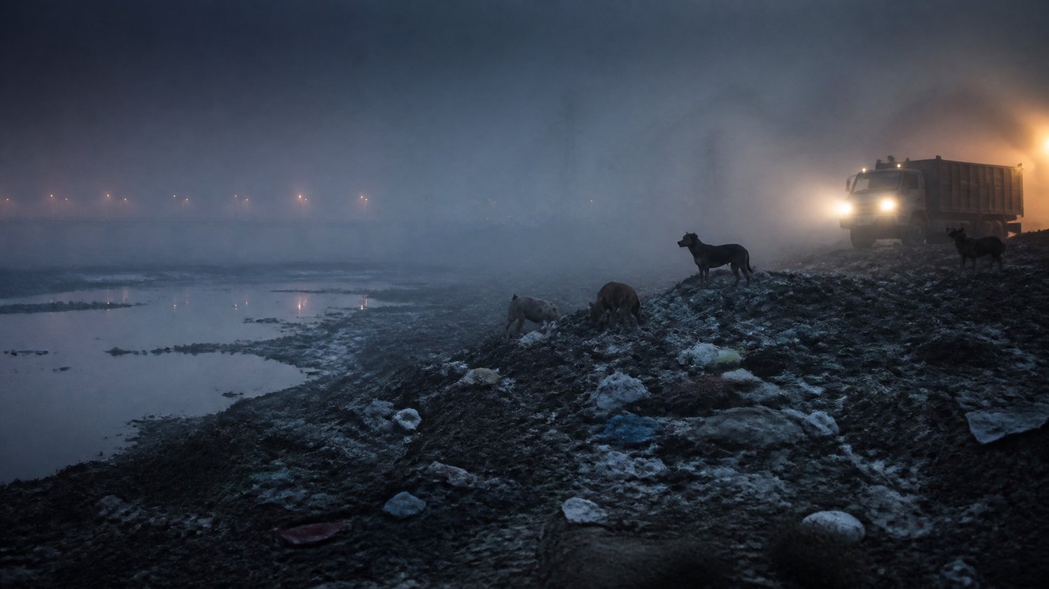 The Garbage Lanes — Narrow kachra lanes, municipal bins, pre-dawn sodium light, stray dogs and fog — where the pieces return to the refuse.