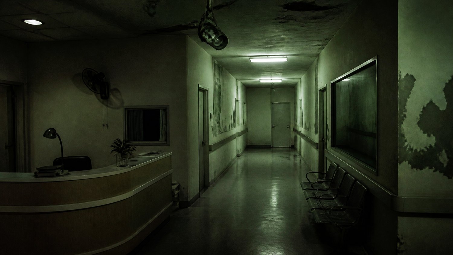 The Nursing Homes — Small, under-lit private maternity clinics with flickering corridors and broken CCTV — ordinary places turned into hunting grounds.