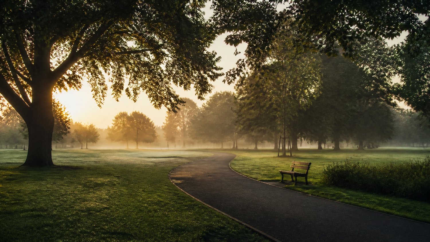 Indira Park — Green and public — where a billionaire’s stolen baby is left, alive, in a basket.