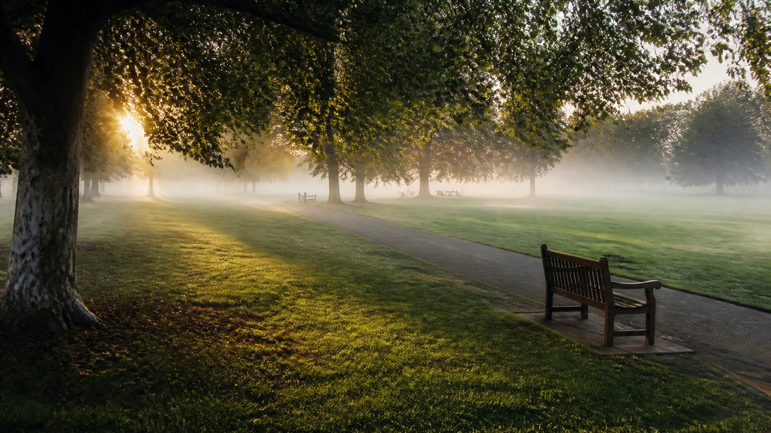 Indira Park — Green and public — where a billionaire’s stolen baby is left, alive, in a basket.